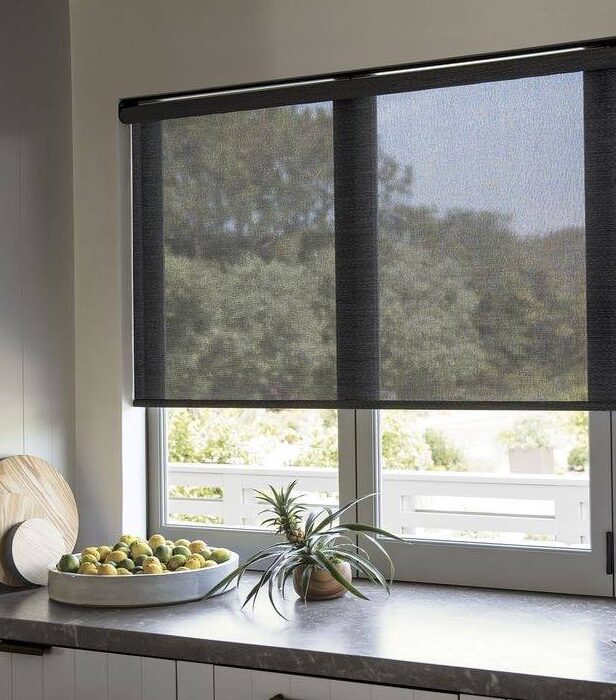 roller-sun-screen-negra